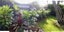 ASAP: Garden Maintenance: Hedge Trim & Tree Prune Carousel 12