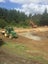 Earthmoving & Excavation Contractors Carousel 9