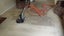 Gardna Carpet Cleaning Ltd Carousel 12