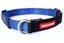 Dog Collar - EzyDog Checkmate Large - Blue Carousel 1
