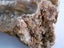 ORANGE BROWN CRYSTAL CLUSTER EARTH SCIENCE NUGGET GEOLOGICAL TABLE SCULPTURE Carousel 2
