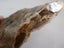 ORANGE BROWN CRYSTAL CLUSTER EARTH SCIENCE NUGGET GEOLOGICAL TABLE SCULPTURE Carousel 3