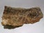 ORANGE BROWN CRYSTAL CLUSTER EARTH SCIENCE NUGGET GEOLOGICAL TABLE SCULPTURE Carousel 4