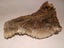 ORANGE BROWN CRYSTAL CLUSTER EARTH SCIENCE NUGGET GEOLOGICAL TABLE SCULPTURE Carousel 5
