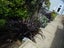 Landscaping,Gardens, Handyman. Carousel 5