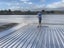 Highrollers Roof Painters Carousel 17