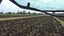 Ag Contracting- Balage, Mulching, Under Sowing. Carousel 17