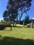 Residential and Sporting Artificial Grass Carousel 1