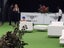 Residential and Sporting Artificial Grass Carousel 4