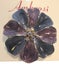 Enamel Flower Brooch (5cm x 5cm) Carousel 1