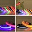 Dog Collar LED BARGAIN Small-Medium Collar Carousel 2