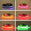 Dog Collar LED BARGAIN Small-Medium Collar Carousel 3