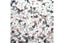 Aquarium Gravel - Multi-Colour 2kg Carousel 1