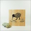 Plywood Art Block: Filigree Kiwi Carousel 1