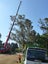 Tree work, land clearing and site clearance Carousel 5