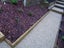 Landscaping,Gardens, Handyman. Carousel 13