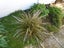 Landscaping,Gardens, Handyman. Carousel 4
