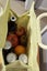 My Lunch Bag - NEW!!! Carousel 8