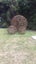 HORSE SHOE BALLS 75CM - CHRISTMAS SPECIAL ONE ONLY AT $635 ! Carousel 10
