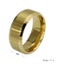 Gold Ring Carousel 1