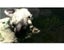 Sony Playstation 4 - The Last Guardian Carousel 2