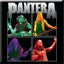 Pantera Fridge Magnet Band Photo logo new Official 76mm x 76mm Carousel 1