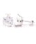 925 Sterling Silver Iced Out Ear Stud - ROUND CZ Carousel 3