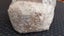 Pink/Grey Oyster & Shiitake, Turkey Tail and more Mushroom Spawn Carousel 6