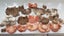 Pink/Grey Oyster & Shiitake, Turkey Tail and more Mushroom Spawn Carousel 4