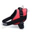 Dog Harness Medium* Carousel 5