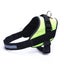 Dog Harness Medium* Carousel 7
