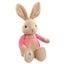My First Flopsy Plush - Beatrix Potter Carousel 1