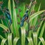 Artist - Acrylic Seascape Paintings Carousel 10