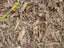 HEARDS - Animal Bedding Carousel 1