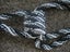 NEW Black and Silver CURTAIN TIE BACK - ONE Carousel 3