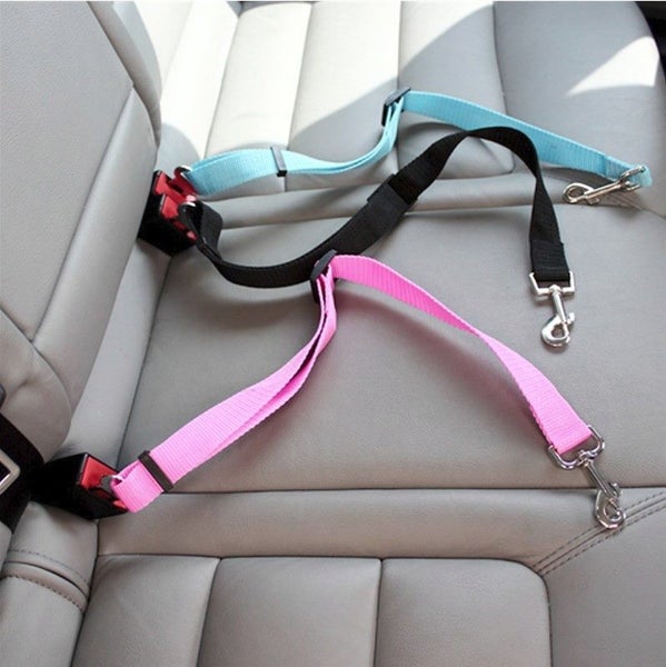 PET SEAT BELT - BARGAIN!!! Carousel 1