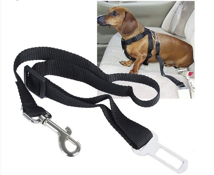 PET SEAT BELT - BARGAIN!!! Carousel 2