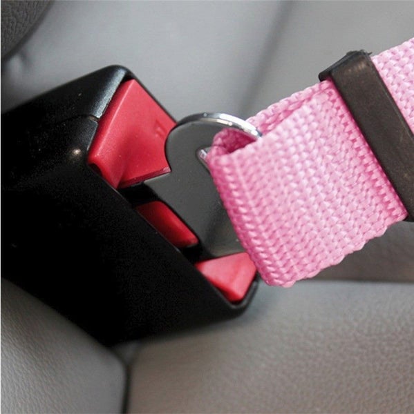 PET SEAT BELT - BARGAIN!!! Carousel 8
