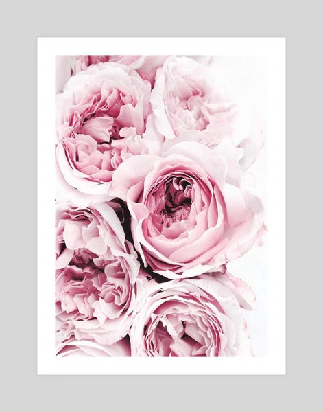 Peony Art Print Carousel 1