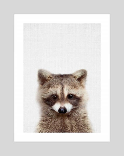 Woodland Raccoon by Lila & Lola Art Print - A3 Carousel 1