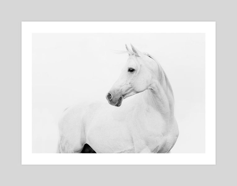 Horse Lover Photography Art Print Carousel 1