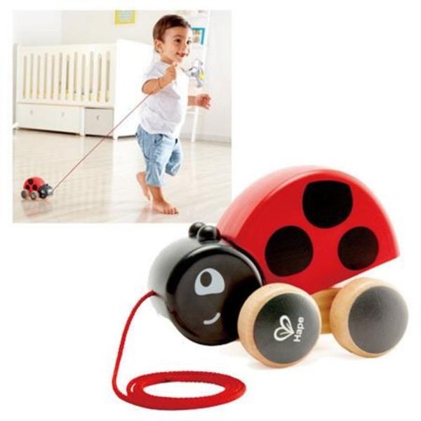 Hape Lady bug Pull Along Carousel 1