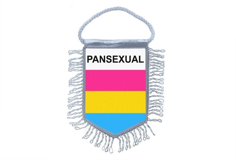 Mini banner flag pennant window mirror cars country banner pansexual pride Carousel 1