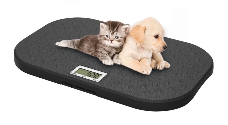 Digital Electronic Pet Vet Scale with Hold Function 40KG 10g dog cat kitten Carousel 1