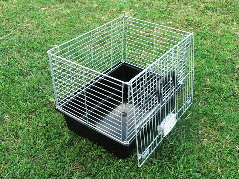 Carry Cage-Plastic Base,Great Design,Suit Rabbits Carousel 2