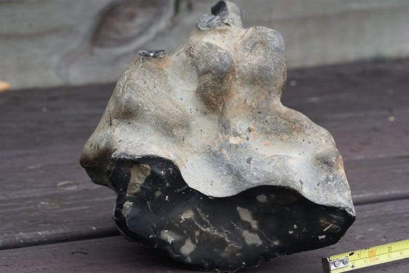 Museum quality natural 3.9kg of flint stone Carousel 8
