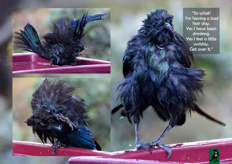 TUI IN OUR GARDEN FREEPOST **BUY ONE GET 1 FREE** Carousel 2
