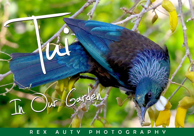 TUI IN OUR GARDEN FREEPOST **BUY ONE GET 1 FREE** Carousel 1
