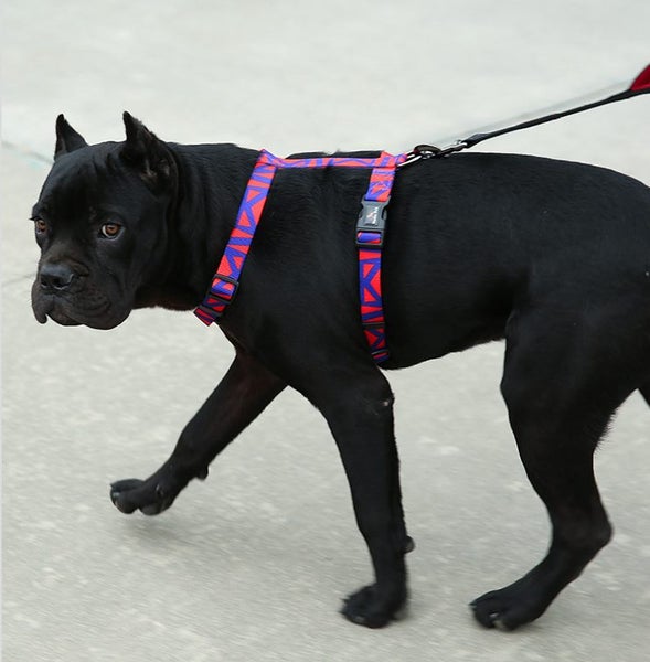 Dog Harness Adjustable Dog Harness Large Trade Me