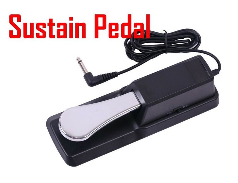 PTN Metal Foot Sustain Pedal Controller Switch Electronic Keyboard Piano Drum Carousel 1
